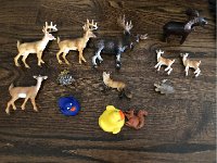 Woodland animals and ducks  Aminals from the kid&#39;s toy boxes to which I&#39;m attached and want to play with in the future so I box them up and store them in a box with other treasures